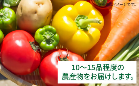 福岡県 糸島産 旬 の 野菜 盛り合わせ セット《糸島》【株式会社フロンティア・アドバンス】 [AWC006]