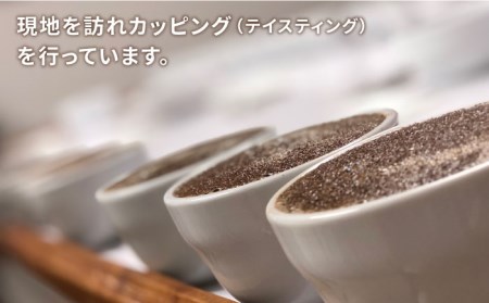 【年内発送】中煎り コーヒー 豆 ウニドスブレンド 250g × 2袋 （ 豆 ・ 粉 選べます ）《糸島》 【COFFEE UNIDOS】 [AQF012]