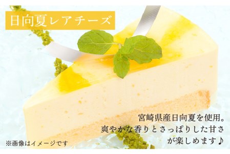 冷凍ケーキ レアチーズケーキ2種計12個セット あまおう 日向夏 五洋食品産業 Aqd008 福岡県糸島市 ふるさと納税サイト ふるなび