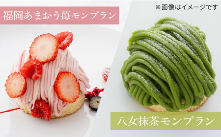 モンブラン4種(あまおう苺 八女抹茶 さつまいも 栗) ケーキ 4種