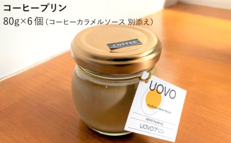 UOVO コーヒー プリン ◆ 6個 セット ◆ 《糸島市》 【株式会社おおはまファーム】 [AKH014]