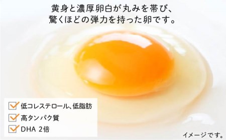 たまごかけご飯 セット ★ 卵 10個 / お米 2kg / たまごかけ ご飯 専用 醤油 《糸島》【株式会社おおはまファーム】 [AKH009] 鶏卵 卵 平飼い 平飼い卵 玉子 たまご 卵かけご飯 玉子かけご飯 TKG