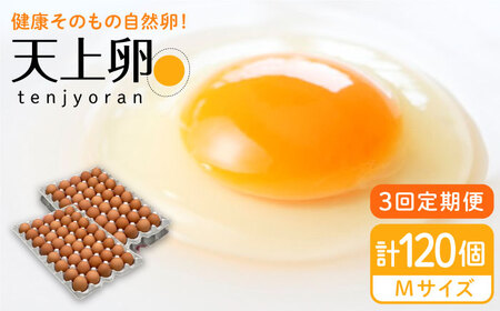 【全3回定期便】 こだわりの卵 「 天上卵 」 40個 セット 《糸島》【株式会社おおはまファーム】[AKH006]