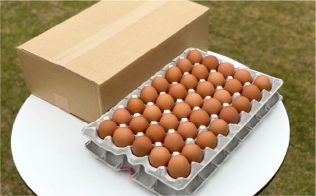 こだわりの卵「天上卵」40個セット 糸島ファームハウスUOVO 《糸島》[AKH005] 卵 たまご 玉子 平飼い 40個 セット 鶏卵 新鮮 卵産まれたばかりの新鮮なたまごは、味わいも格別 卵平飼い 卵玉子