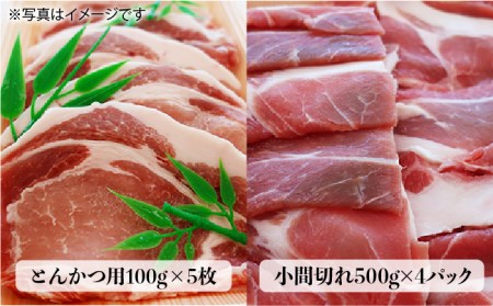 合計4.6kg！糸島豚食べ尽くしセット（とんかつ、肩ロース、しゃぶしゃぶ、豚バラ、スペアリブ、小間切れ） トラヤミートセンター 《糸島》[AJD005] 国産 豚肉 とんかつ 肩ロース しゃぶしゃぶ スペアリブ 豚肉国産 豚肉とんかつ 豚肉肩ロース 豚肉詰め合わせ 豚肉しゃぶしゃぶ 豚肉スペアリブ