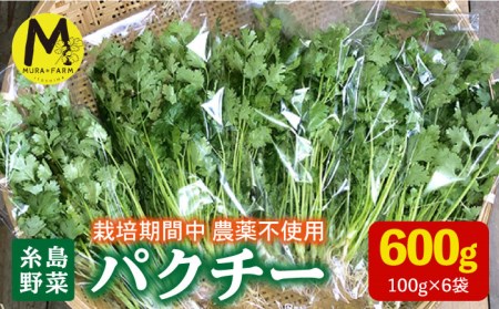 先行予約販売】糸島産 パクチー 600g ( 100g × 6袋 ) 糸島市 / MURA FARM [AFD001] パクチー パクチー国産 パクチーエスニック  パクチーアジアン パクチーオーガニック野菜 | 福岡県糸島市 | ふるさと納税サイト「ふるなび」