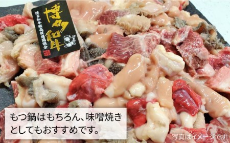 【もつ鍋用】博多 和牛 ホルモン ミックス 計1kg 《糸島》 【糸島ミートデリ工房】 [ACA118] ホルモン もつ鍋 ホルモン もつ鍋用 ホルモン希少