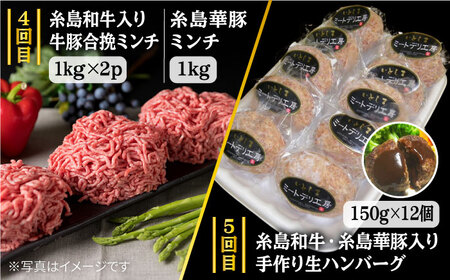 家族でたっぷり！ ボリューム 満載 定期便全7回 （月1回） 4人用 【福岡 糸島産 牛肉 豚肉 鶏肉 切り落とし ミンチ ハンバーグ 餃子】 糸島市/糸島ミートデリ工房 [ACA085]