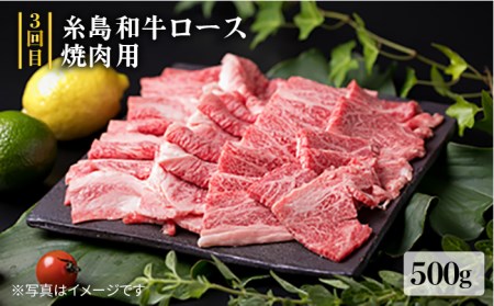 美味しさ 満載！贅沢 お肉 セットの定期便 全5回（月1回） 3人 家族用 【福岡 糸島産 牛肉 豚肉 鶏肉 ステーキ しゃぶしゃぶ すき焼き ヒレ シャトーブリアン ロース】 糸島 / 糸島ミートデリ工房 [ACA084] 牛肉定期便 牛肉セット定期便 牛肉バラエティ定期便