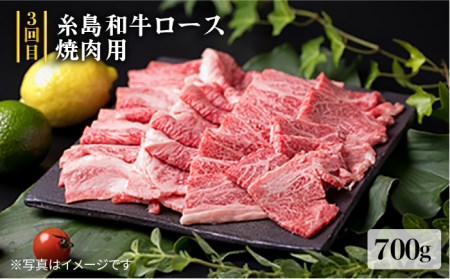 美味しさ 満載！贅沢お 肉 セットの定期便 全5回 （月1回） 4人 家族用 【福岡 糸島産 牛肉 豚肉 鶏肉 ステーキ しゃぶしゃぶ すき焼き ヒレ シャトーブリアン ロース】 《糸島》 【糸島ミートデリ工房】 [ACA083] 牛肉定期便 牛肉セット定期便 牛肉バラエティ定期便