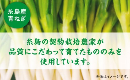 糸島 青ねぎ ゆず胡椒 110g×5本 セット 《糸島》 【山口食品工業株式会社】 [ABI001]