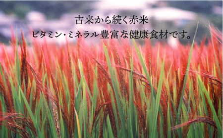 全10回定期便（月1回） 雑穀米 健康ごはんのお米セット 二丈赤米産直センター《糸島》[ABB021] 雑穀 国産 米 黒米 赤米 栄養満点 もち もち黒米 古代米 定期便 米雑穀 米国産 米雑穀 黒米 赤米 米ちょい足し 米栄養満点 米もち 米もち黒 米古代 米簡単 米定期便 米10ヶ月