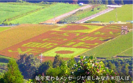 全10回定期便（月1回） 雑穀米 健康ごはんのお米セット 二丈赤米産直センター《糸島》[ABB021] 雑穀 国産 米 黒米 赤米 栄養満点 もち もち黒米 古代米 定期便 米雑穀 米国産 米雑穀 黒米 赤米 米ちょい足し 米栄養満点 米もち 米もち黒 米古代 米簡単 米定期便 米10ヶ月