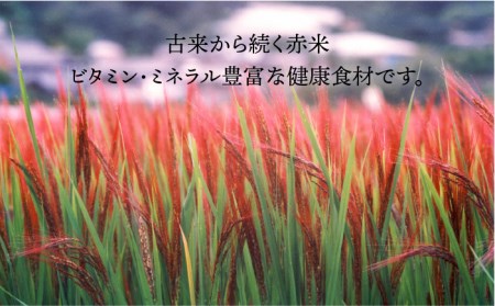 全10回定期便 （月1回） 赤米 ・ 黒米 ・ 雑穀米 健康 ごはんの お米セット 二丈赤米産直センター [ABB019]