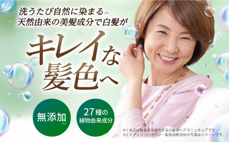 【 5本入 】【選べるカラー】 利尻 カラー シャンプー 糸島 / 株式会社ピュール [AZA027] 白髪ケア 美容