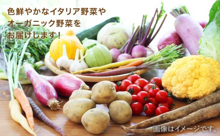 【全12回定期便】旬を味わう 糸島 野菜 セット 10〜14種 （14パック） / イタリア野菜 オーガニック 野菜ソムリエ 松永 糸島市 / vegeLabo [AJB003] 旬の野菜セット旬の野菜セット旬の野菜セット旬の野菜セット旬の野菜セット旬の野菜セット旬の野菜セット旬の野菜セット