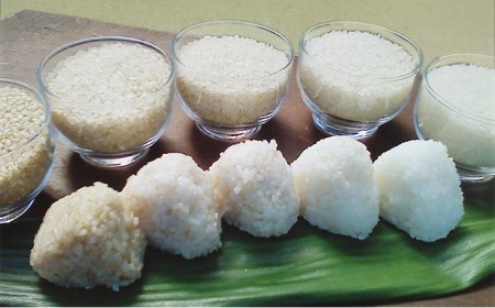  農薬 使わない 栽培 ！ 糸島産 ヒノヒカリ 5kg、 玄米食 ・ 分搗き 対応！《糸島》【二丈赤米産直センター】 [ABB005] 米 ひのひかり