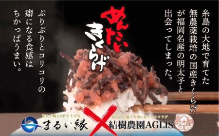 結樹農園 アグリス めんたい きくらげ 300g×5P 《糸島》【結樹農園アグリス】きくらげ/国産/明太/明太子 [AAJ003]