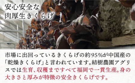 結樹農園 アグリス めんたい きくらげ 300g×5P 《糸島》【結樹農園アグリス】きくらげ/国産/明太/明太子 [AAJ003]