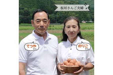 【定期便】【30個×12ヶ月】黄身にコク！白身に甘み！てつやとのりこの玉子【板垣ファーム】 《糸島》[AWD010]玉子 たまご定期便 卵玉子たまご定期便 ビタミン卵玉子たまご定期便 ミネラル卵玉子たまご定期便 福岡卵玉子たまご定期便 九州卵玉子たまご定期便 ビタミンたまご定期便 ミネラルたまご定期便 福岡たまご定期便 九州たまご定期便 たまご定期便 卵玉子たまご定期便サイズミックス たまごサイズミックス 定期便12回 12回定期便 卵玉子たまご定期便かけご飯 卵玉子たまご定期便焼き 卵玉子たまご定期便料理 生卵玉子たまご定期便 ゆで卵玉子たまご定期便 卵玉子たまご定期便玉子 卵玉子たまご定期便たまご定期便 卵玉子たまご定期便ビタミン 卵玉子たまご定期便ミネラル 卵玉子たまご定期便福岡