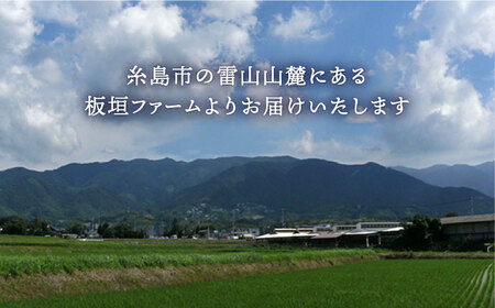 【定期便】【30個×6ヶ月】黄身にコク！白身に甘み！てつやとのりこの玉子【板垣ファーム】 《糸島》[AWD009] 玉子 たまご定期便 卵玉子たまご定期便 ビタミン卵玉子たまご定期便 ミネラル卵玉子たまご定期便 福岡卵玉子たまご定期便 九州卵玉子たまご定期便 ビタミンたまご定期便 ミネラルたまご定期便 福岡たまご定期便 九州たまご定期便 たまご定期便6回定期便 毎月 卵玉子たまご定期便サイズミックス たまご定期便サイズミックス 卵玉子たまご定期便かけご飯 卵玉子たまご定期便焼き 卵玉子たまご定期便料理 生卵玉子たまご定期便 ゆで卵玉子たまご定期便 卵玉子たまご定期便玉子 卵玉子たまご定期便たまご定期便 卵玉子たまご定期便ビタミン 卵玉子たまご定期便ミネラル 卵玉子たまご定期便福岡