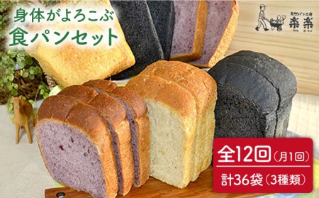 【全12回定期便】身体がよろこぶ 食パン 3種 セット (卵 / 乳製品 不使用)《糸島》【天然パン工房楽楽】【いとしまごころ】[AVC015]