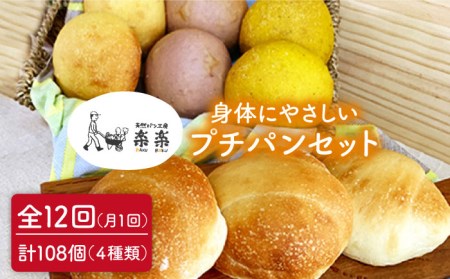 【全12回定期便】身体がよろこぶ プチ パン セット (卵 / 乳製品 不使用)《糸島》【天然パン工房楽楽】【いとしまごころ】[AVC011]