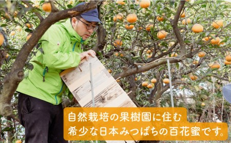 福岡県糸島産 わかまつ果樹園の日本蜜蜂のはちみつ 100％PURE RAW HONEY《糸島》[AHB009] 自然栽培 百花蜜 はちみつ 国産 ハニー ミツバチ 非加熱 非ろか 蜂蜜自然農法 蜂蜜百花蜜 蜂蜜果樹 蜂蜜はちみつ 蜂蜜国産 蜂蜜ハニー 蜂蜜ミツバチ 蜂蜜非加熱 蜂蜜非ろか 蜂蜜先行予約 蜂蜜生はちみつ 蜂蜜生蜂蜜