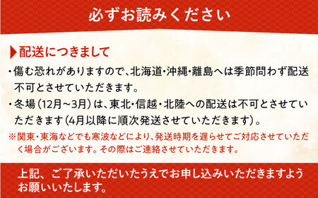 【全6回定期便】胡蝶蘭 お楽しみ定期便 (お祝い / 開店祝い / 就任祝い) 糸島 / はざま園芸 [AND003] 胡蝶蘭 お祝い ギフト