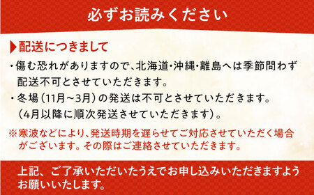 観葉植物『ココヤシ』《糸島》[AND004] 観葉植物 室内 室内用 自宅 ココヤシ インテリア 植物 花観葉植物 花室内 花室内用 花自宅 花ココヤシ 花インテリア 花植物