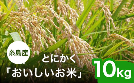 【令和6年産】とにかくおいしいお米 夢つくし 10kg 糸島市 / シーブ [AHC023] お米 10kg 送料無料 ギフト おこめ 10キロ 白米　令和6年 白米お米 白米10kg 白米送料無料 白米ギフト 白米おこめ 白米10キロ 白米栽培期間中 白米農薬不使用 白米おにぎり