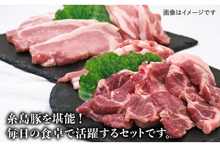 JA糸島  糸島豚 焼肉 トンカツ 生姜焼き セット  糸島市 / JA糸島産直市場 伊都菜彩 [AED003]