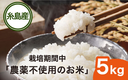 栽培期間中 農薬不使用のお米 ヒノヒカリ 5kg 糸島市 シーブ [AHC005]