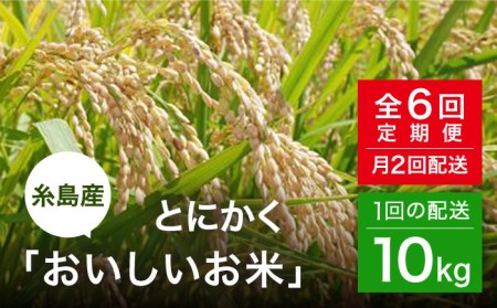 【全6回(月2)定期便】とにかくおいしいお米 夢つくし 10kg 糸島市 / シーブ [AHC024] 米 定期便 お米 10kg 送料無料 ギフト おこめ 10キロ 米 定期便 白米お米 白米10kg 白米送料無料 白米ギフト 白米おこめ 白米10キロ 白米栽培期間中 白米農薬不使用 白米米 白米おにぎり 白米定期便