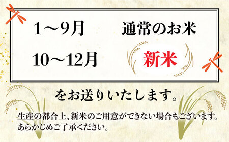 【全6回(月2)定期便】とにかくおいしいお米 夢つくし 10kg 糸島市 / シーブ [AHC024] 米 定期便 お米 10kg 送料無料 ギフト おこめ 10キロ 米 定期便 白米お米 白米10kg 白米送料無料 白米ギフト 白米おこめ 白米10キロ 白米栽培期間中 白米農薬不使用 白米米 白米おにぎり 白米定期便