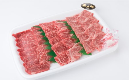  A4 ランク 糸島 黒毛和牛 焼肉 3品盛 600g 入り 《糸島》【糸島ミートデリ工房】 [ACA015] 牛肉焼肉 牛肉焼き肉 牛肉焼肉 牛肉焼き肉 牛肉焼肉 牛肉焼き肉