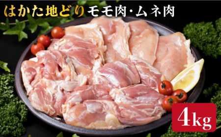 (福岡県産)はかた地どりモモ肉、むね肉4kgセット《糸島》【糸島ミートデリ工房】[ACA035] 博多 鶏肉 鳥 もも むね モモ ムネ 焼肉 焼き肉 BBQ 小分け 国産 鶏肉博多 鶏肉鳥 鶏肉もも 鶏肉むね 鶏肉モモ 鶏肉ムネ 鶏肉焼肉 鶏肉焼き肉 鶏肉BBQ 鶏肉小分け 鶏肉国産