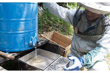 糸島 はちみつ 320g【ヴァンベールフーズ】百花 / 蜂蜜 [AFJ001]