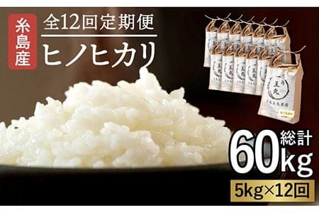 【全12回定期便】糸島産 ヒノヒカリ 5kg×12回 糸島市 / 糸島王丸農園 (谷口汰一)【いとしまごころ】 [AAZ013]