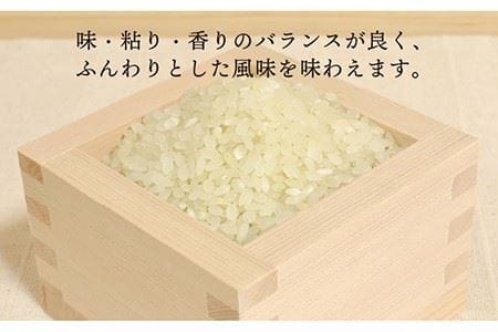 【全12回定期便】糸島産 ヒノヒカリ 5kg×12回 糸島市 / 糸島王丸農園 (谷口汰一)【いとしまごころ】 [AAZ013]