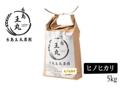 【全12回定期便】糸島産 ヒノヒカリ 5kg×12回 糸島市 / 糸島王丸農園 (谷口汰一)【いとしまごころ】 [AAZ013]