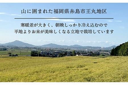 【全12回定期便】糸島産 ヒノヒカリ 5kg×12回 糸島市 / 糸島王丸農園 (谷口汰一)【いとしまごころ】 [AAZ013]