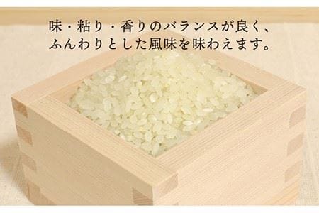 【全12回定期便】糸島産 ヒノヒカリ 10kg×12回　糸島市 / 糸島王丸農園 ( 谷口汰一 )【いとしまごころ】 [AAZ017]