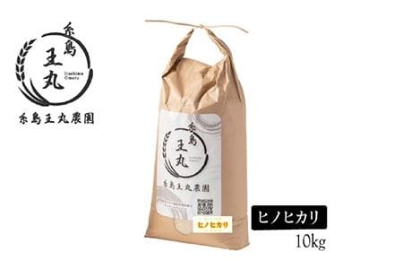 【全12回定期便】糸島産 ヒノヒカリ 10kg×12回　糸島市 / 糸島王丸農園 ( 谷口汰一 )【いとしまごころ】 [AAZ017]