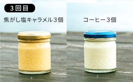 全3回]行列のできるプリンと塩！またいちの塩からの定期便 《糸島