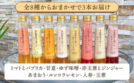 【 全12回 定期便 】 糸島 野菜 を 食べる 生 ドレッシング お任せ 3本 セット 《糸島》【糸島正キ】 [AQA013]