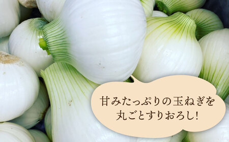 【 お試し用 】 糸島 野菜 を 食べる 生 ドレッシング （ 玉葱 × 1本 ）《糸島》【糸島正キ】 [AQA015]