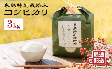 とくべつの中の とくべつ 糸島 特別栽培米 3kg （コシヒカリ）《 糸島 》【株式会社やました】 [ARJ001] 米 白米 精米 こしひかり コシヒカリ