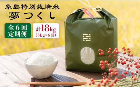 【 6回 定期便 】 とくべつ の中の とくべつ 糸島 特別栽培米 3kg （ 夢つくし ）《 糸島 》【株式会社やました】 [ARJ004]
