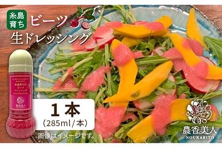 糸島そだちの ビーツ ドレッシング（285ml×1本）《糸島》【農香美人】 [AAG013] 人気ドレッシング 糸島ドレッシング ドレッシングおすすめ